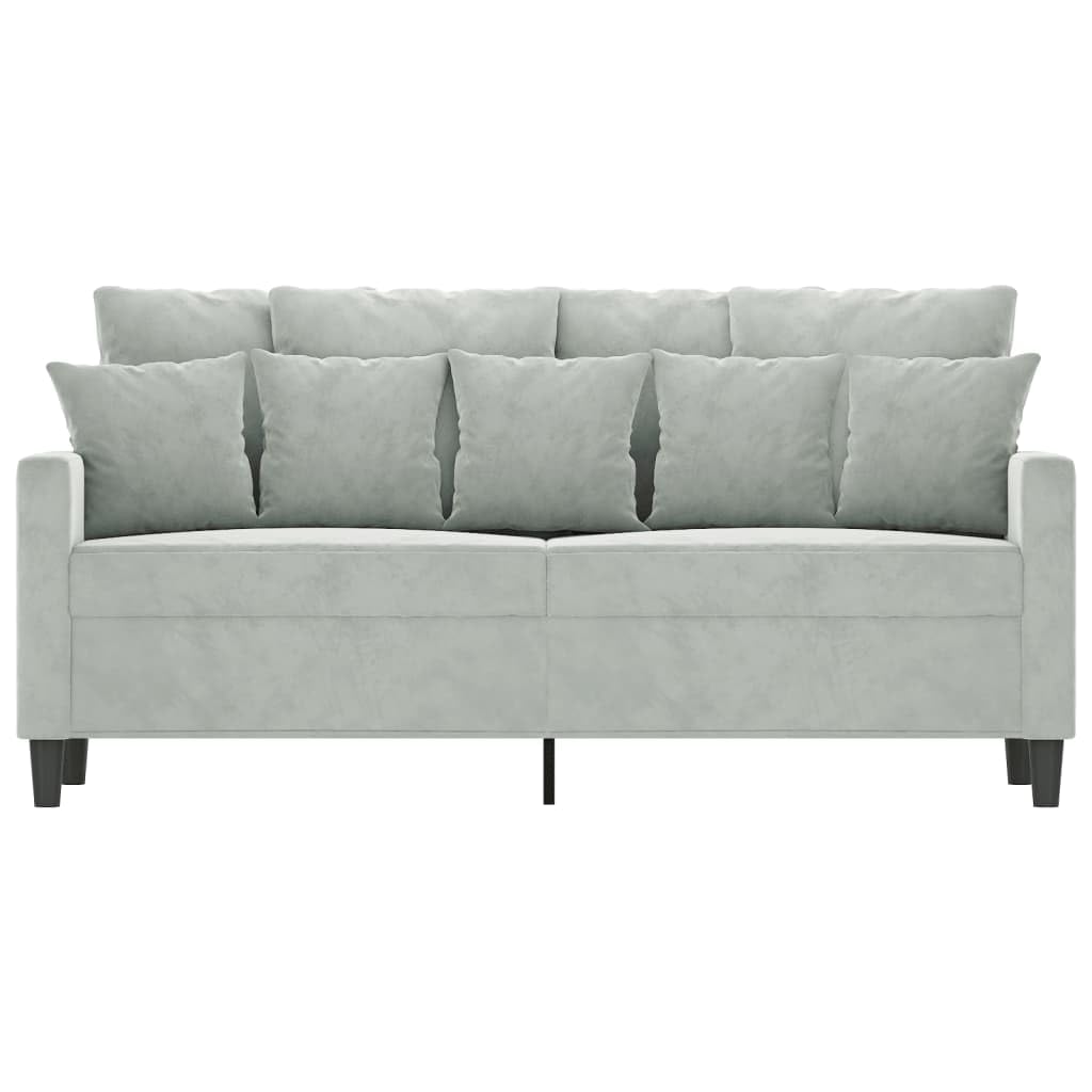 Light Grey Velvet 2-Seater Sofa with Metal Frame Y420036