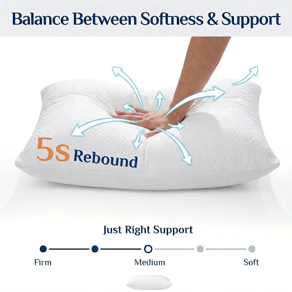 King Size Bed Pillows Set of 2 L5442