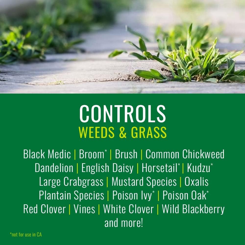 Grass and Weed Killer 1 Gal B69702