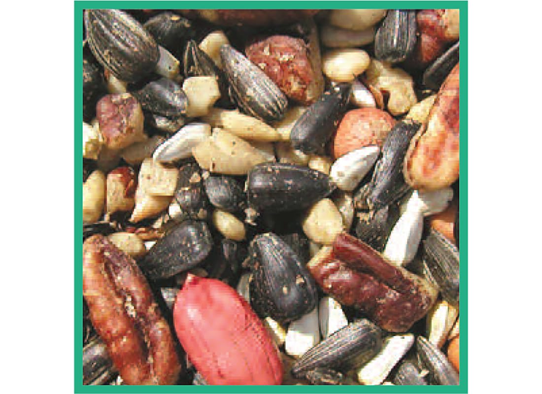 Bird Seed, 20-Pound A47247