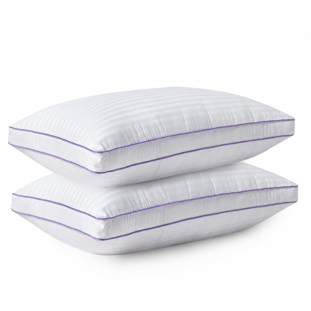 King Size Down Alternative Pillows Set of 2 B74585