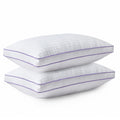 King Size Down Alternative Pillows Set of 2 B74585