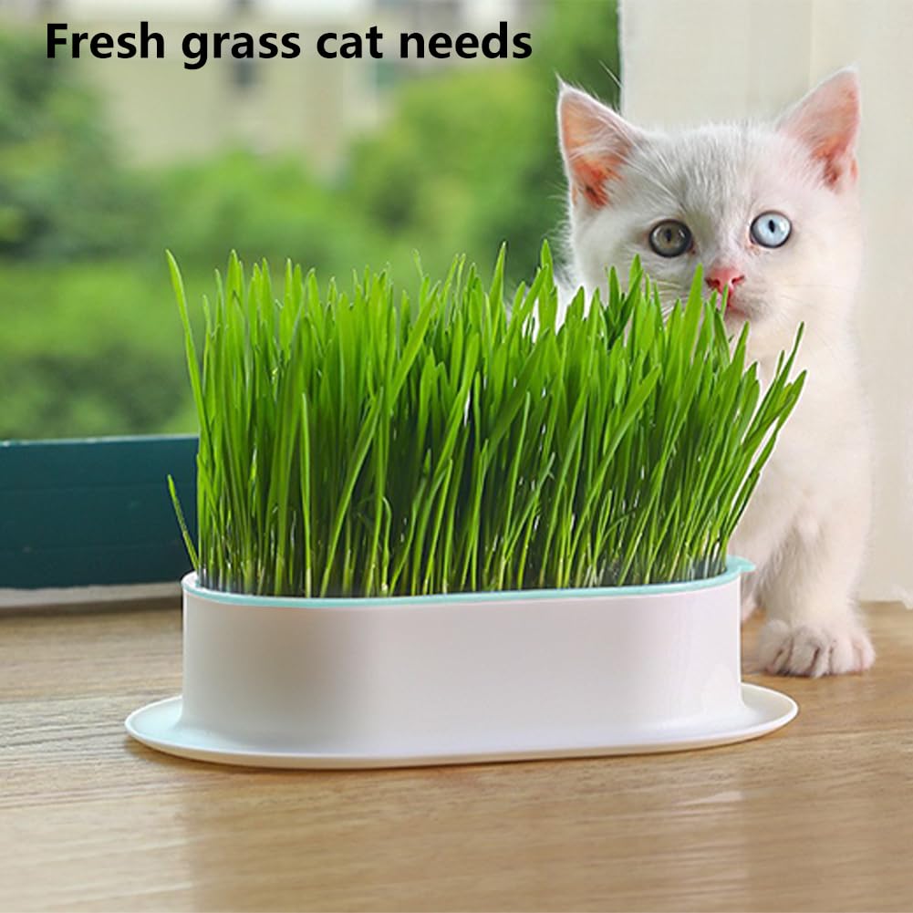 3 Pack Hydroponic Seed Sprout Tray P825737