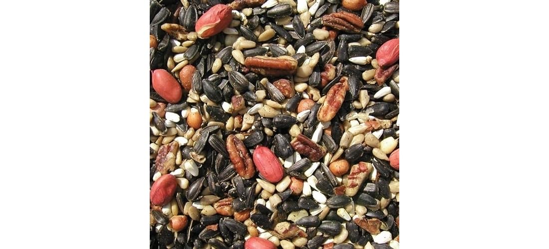 Bird Seed, 20-Pound A47247