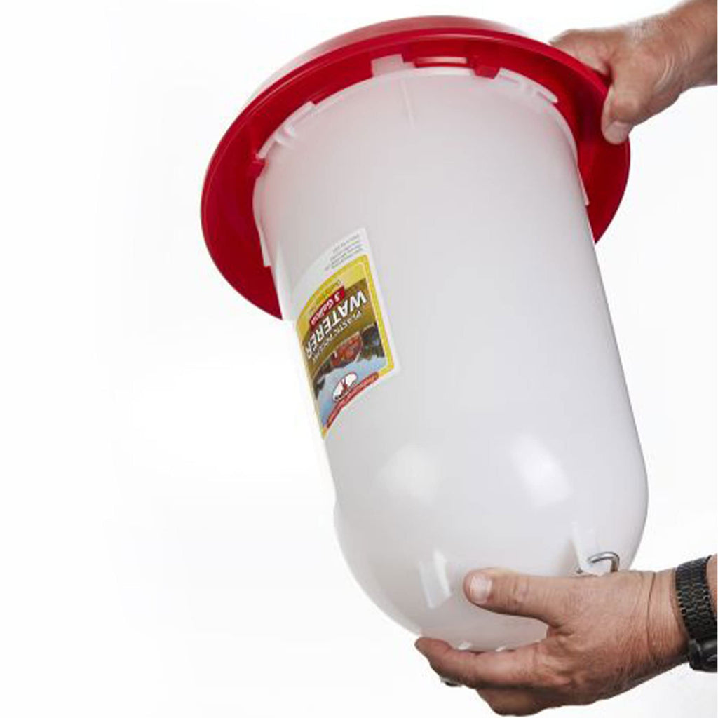 3 Gallon Plastic Gravity Fed Waterer 4-Pack L9954