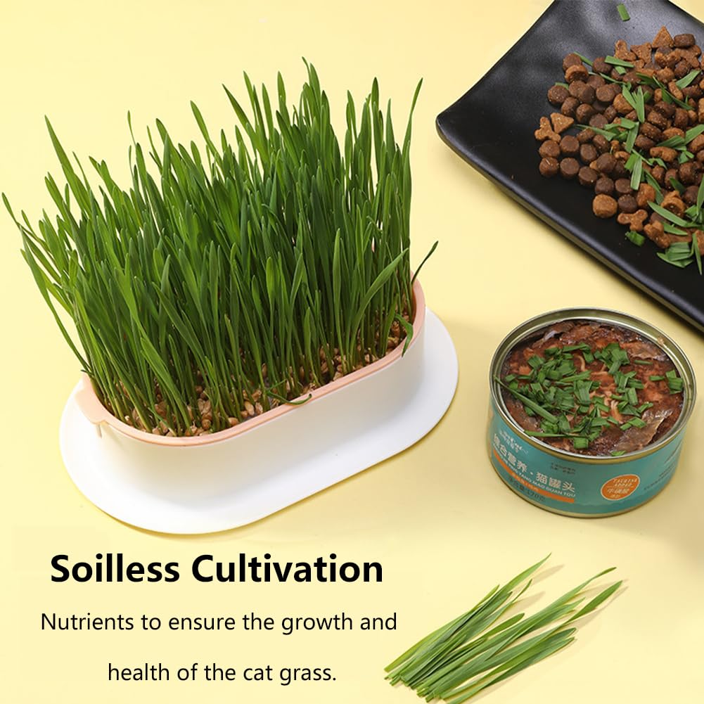 3 Pack Hydroponic Seed Sprout Tray P825737