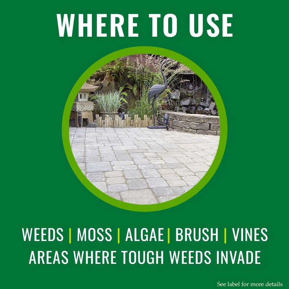 Grass and Weed Killer 1 Gal B69702