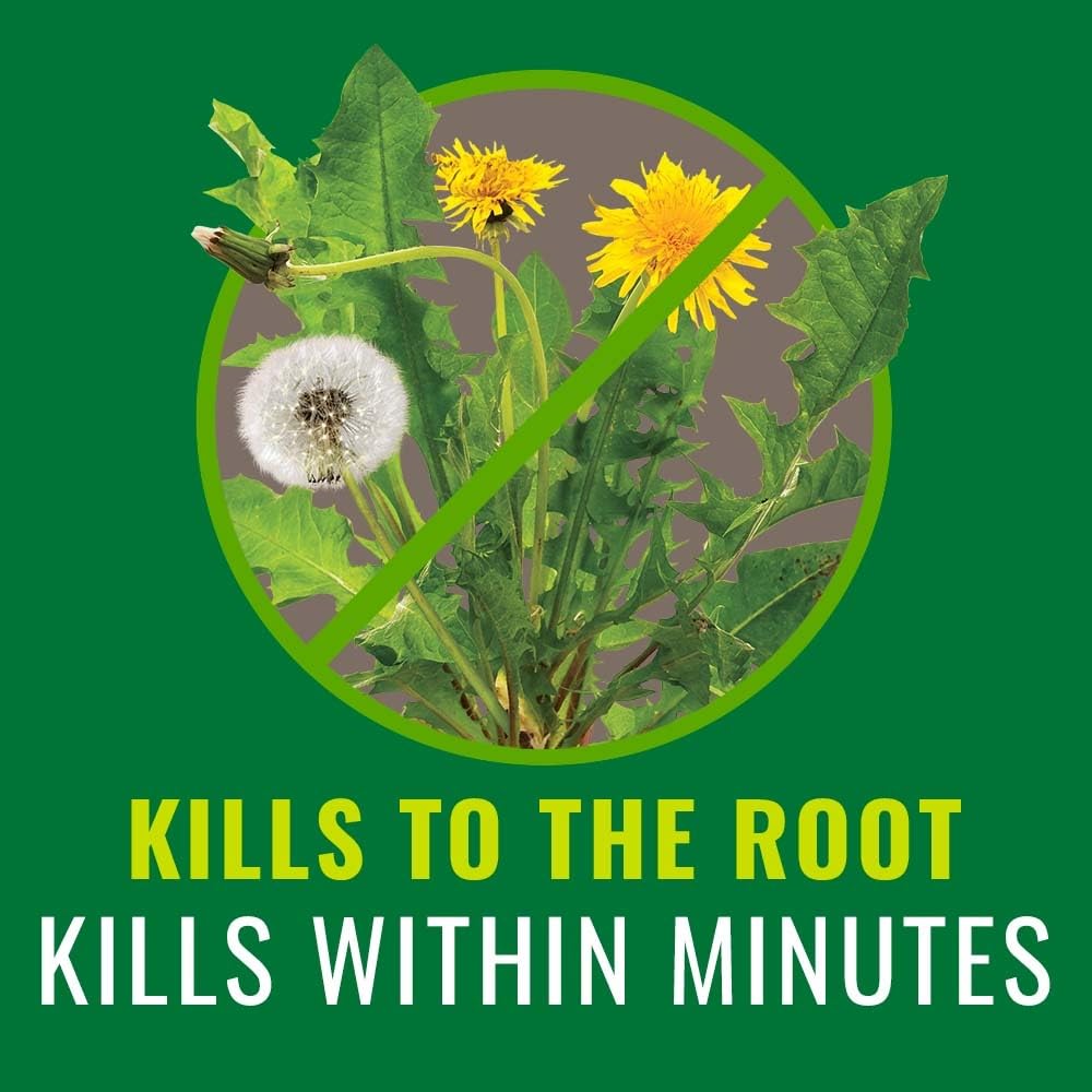 Grass and Weed Killer 1 Gal B69702