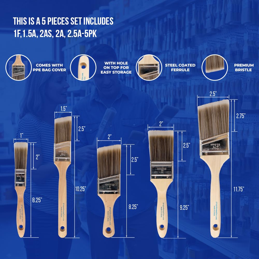 5-Piece Paint Brush Set G484