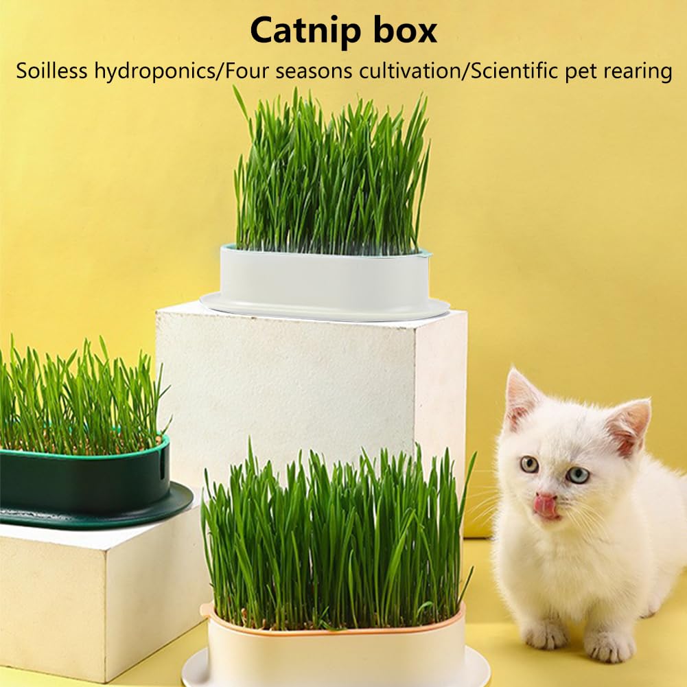 3 Pack Hydroponic Seed Sprout Tray P825737
