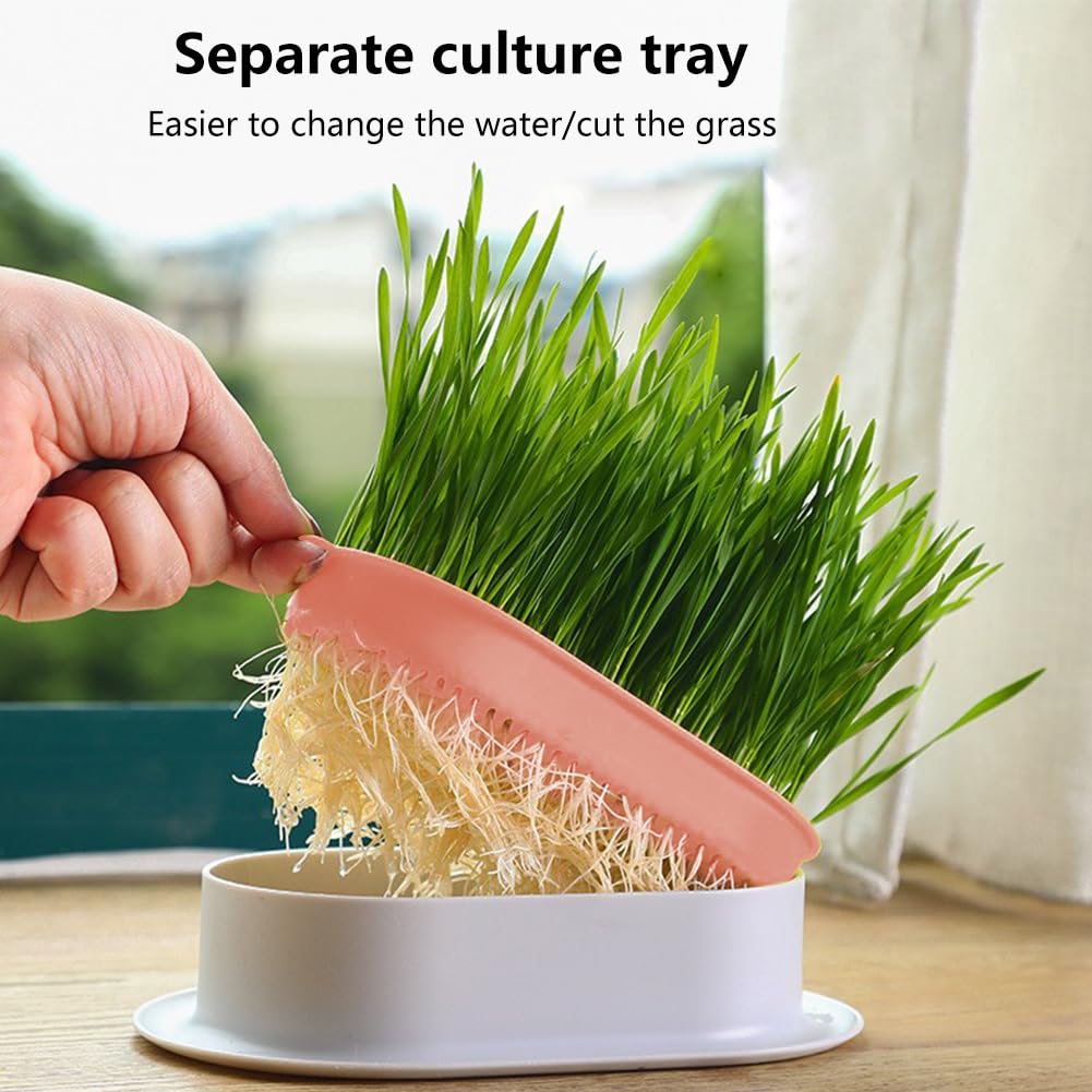 3 Pack Hydroponic Seed Sprout Tray P825737