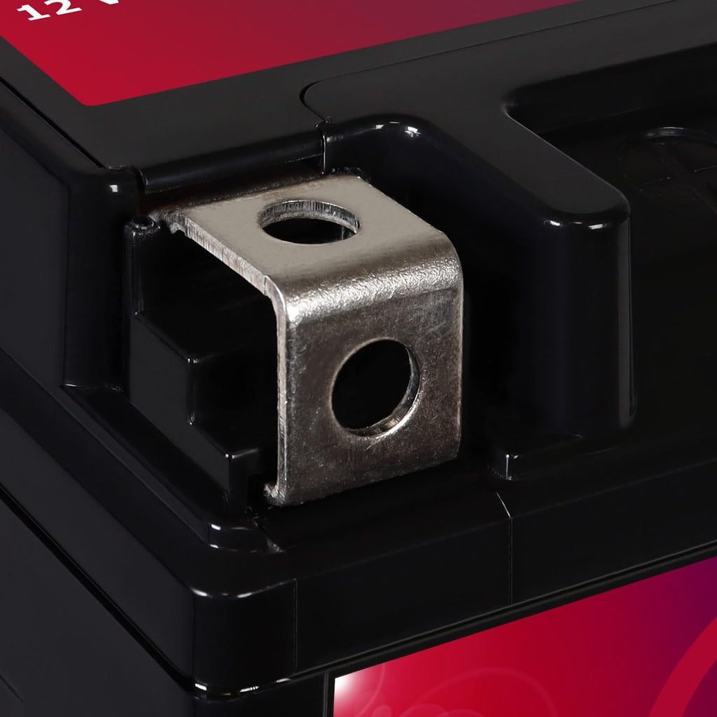 12V 11.2AH 230CCA Battery B940771
