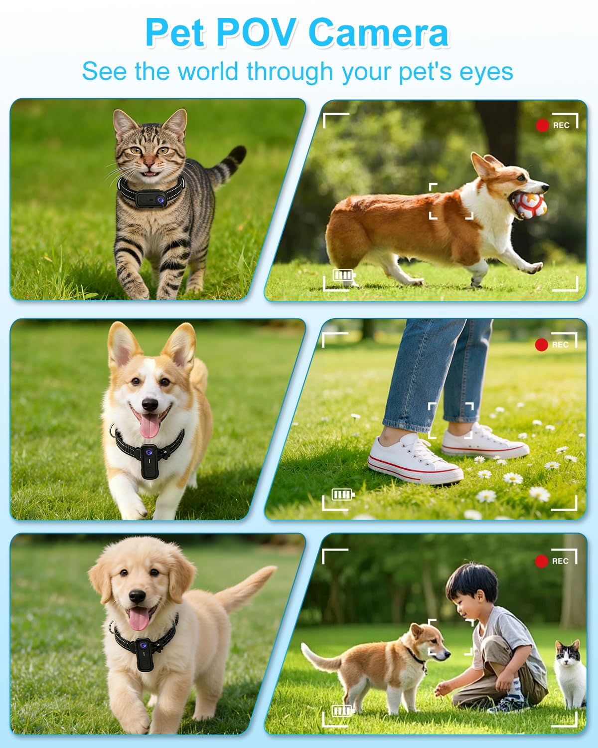 Cat Camera Collar with 1080P HD Video Record, XS-Size Pet POV Cam, 8GB SD Card F240