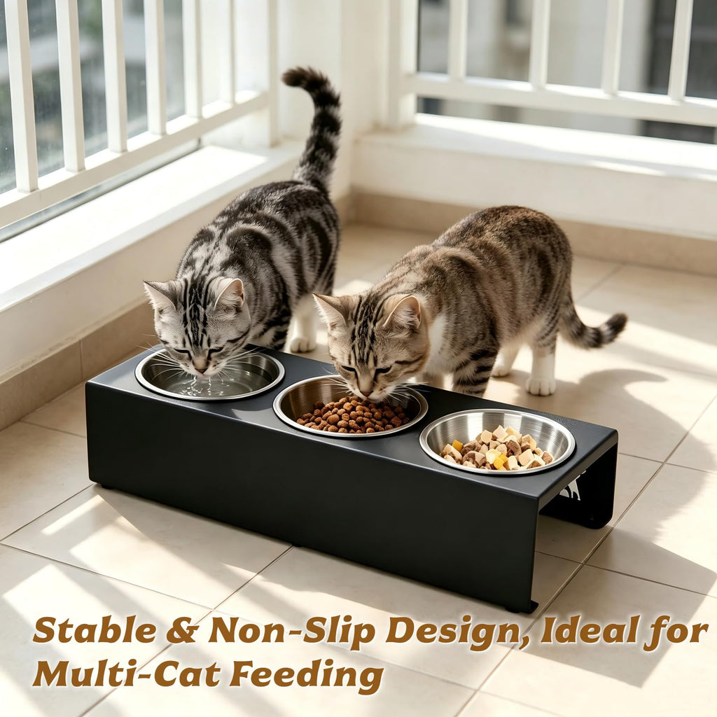 15° Tilted Stainless Steel Cat Bowls 3 Pack D727