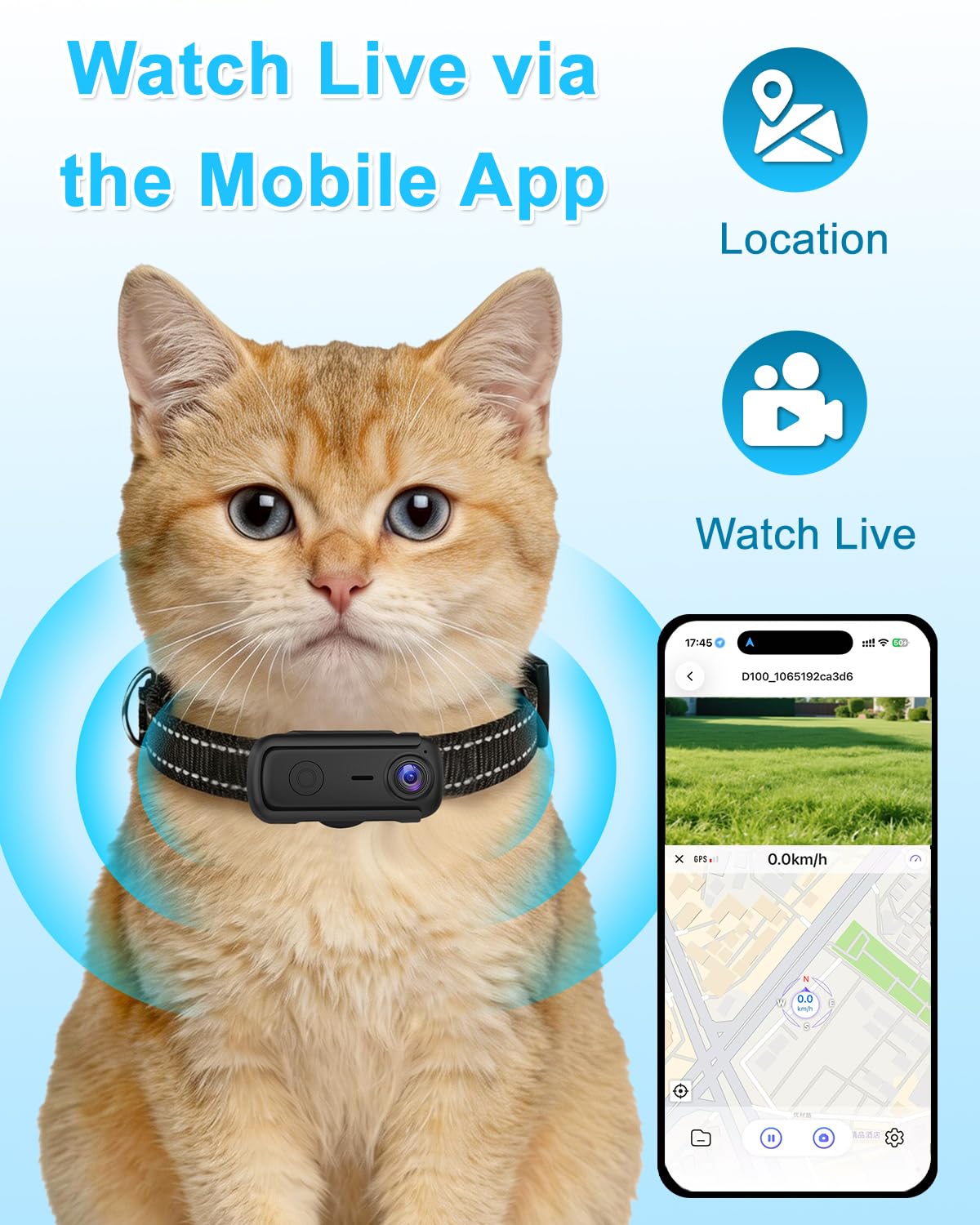 Cat Camera Collar with 1080P HD Video Record, XS-Size Pet POV Cam, 8GB SD Card F240