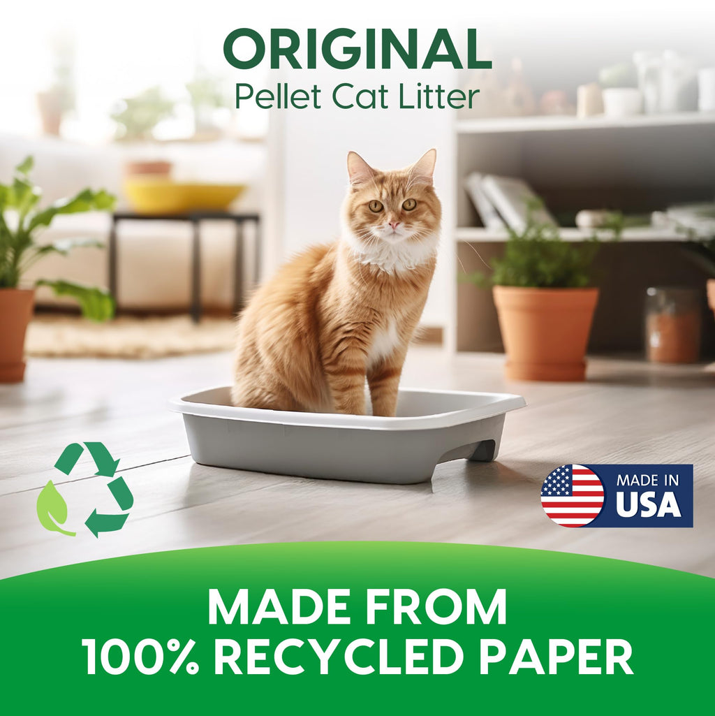 Non-Clumping Paper Cat Litter 25 Pound S660423