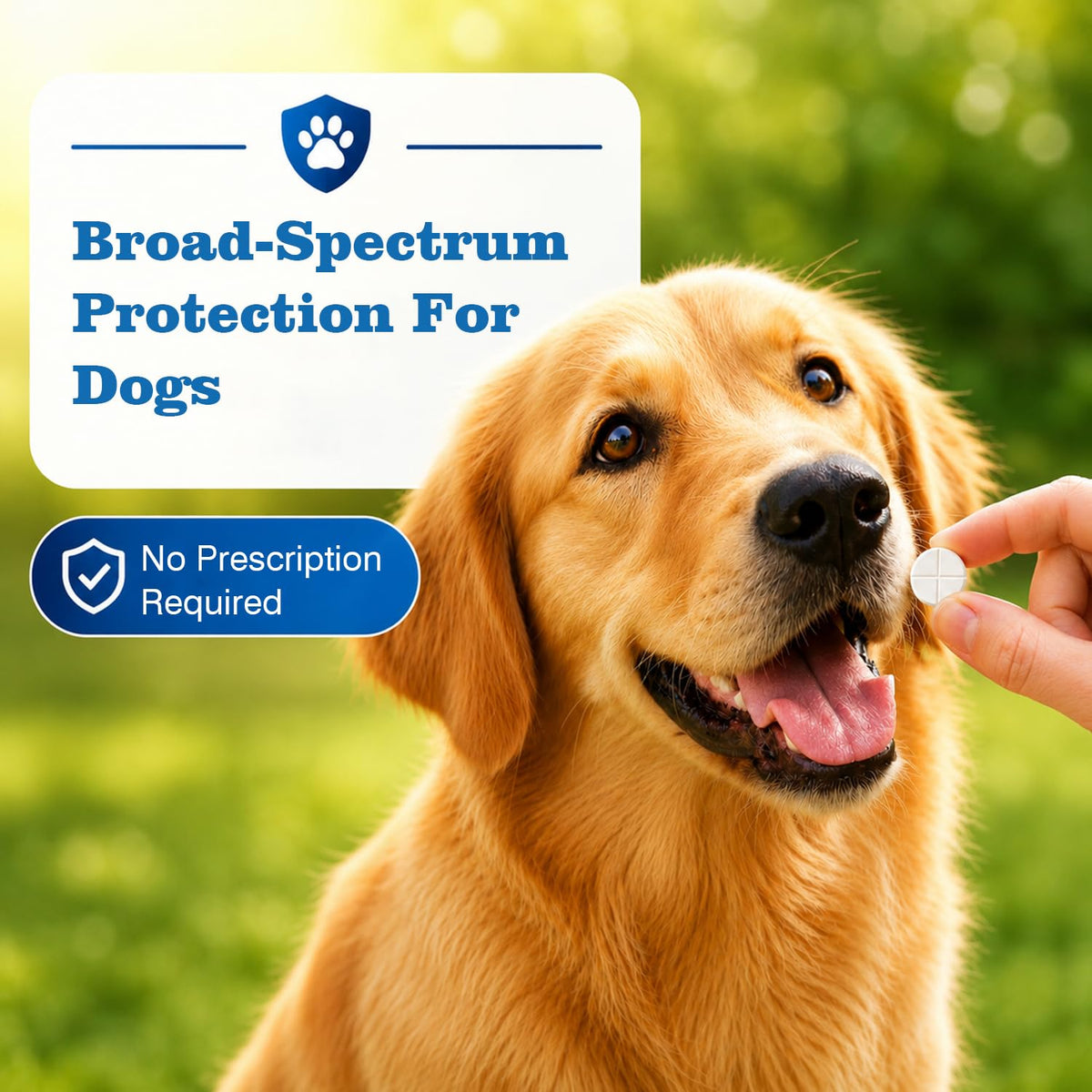 Dog Tapeworm Roundworm & Hookworm Oral Treatment Tablets U46047