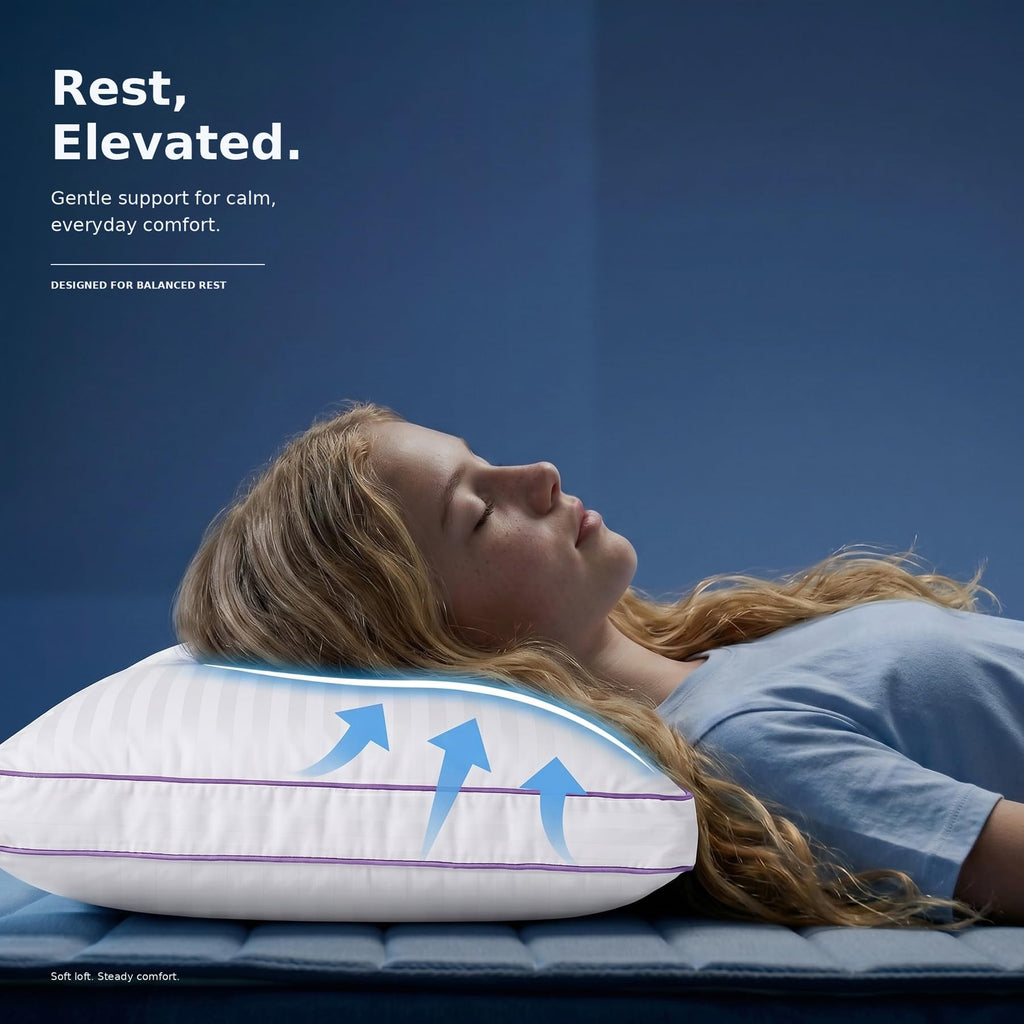 King Size Down Alternative Pillows Set of 2 B74585
