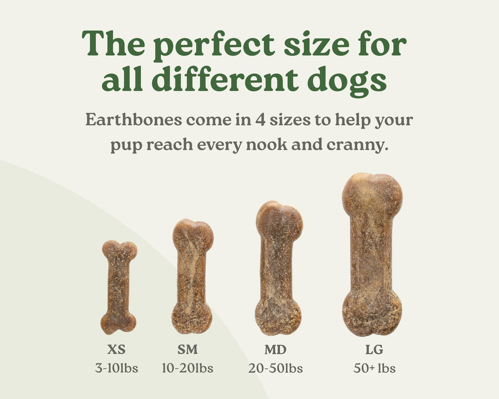 Dental Chews for Dogs 20-50lbs, 30 Bones P670