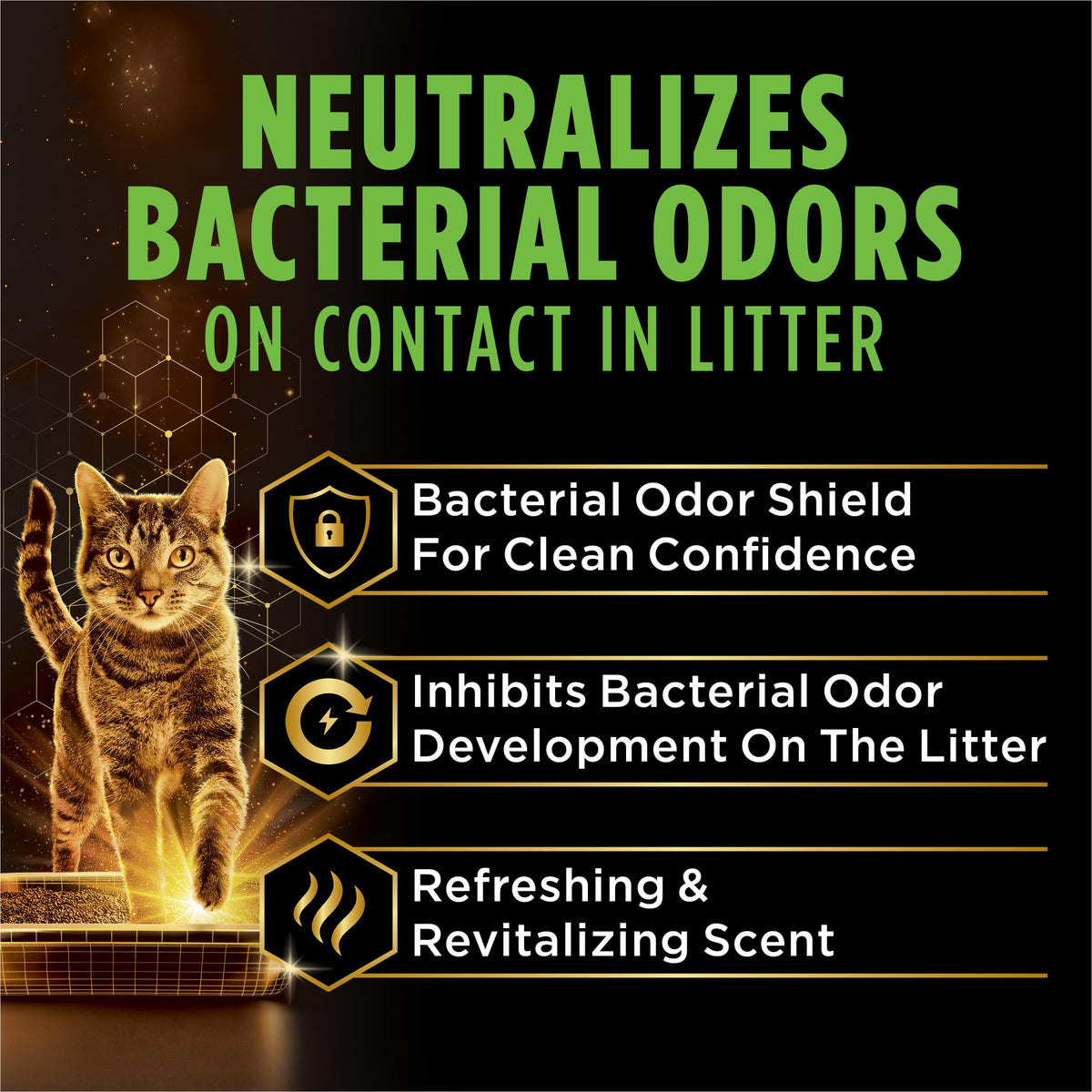 22 lb Cat Litter G256