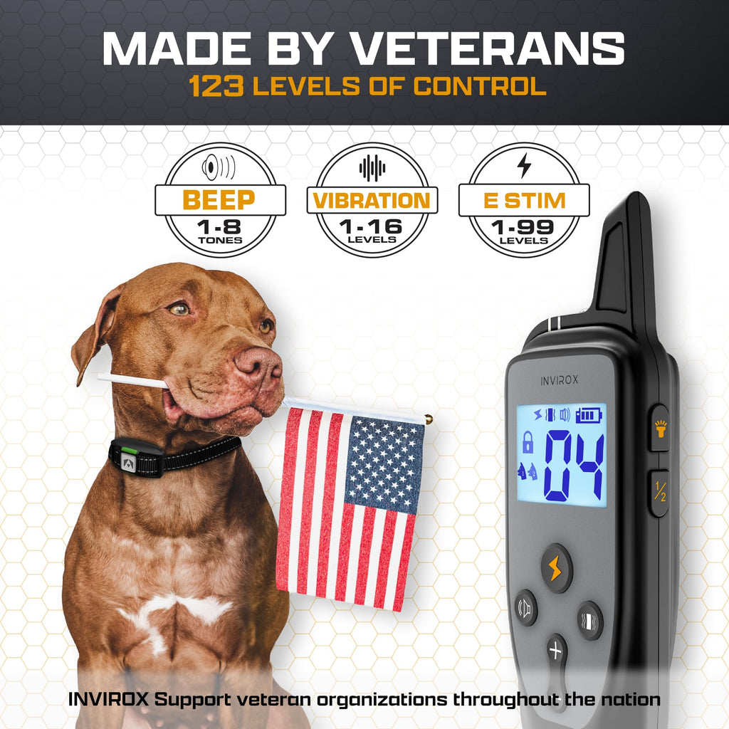Dog Training Collar with Remote W7587