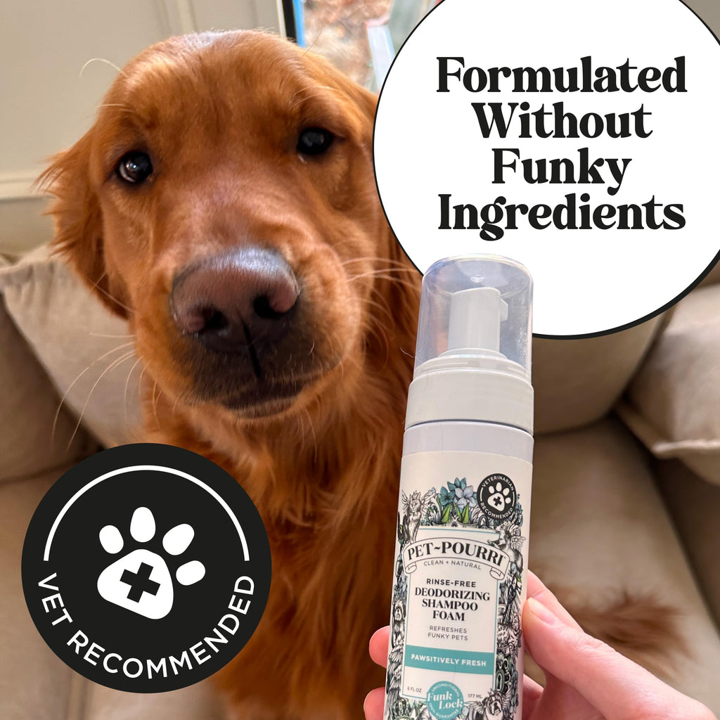 Rinse-Free Deodorizing Dry Shampoo for Dogs & Cats, 6 Fl Oz X102