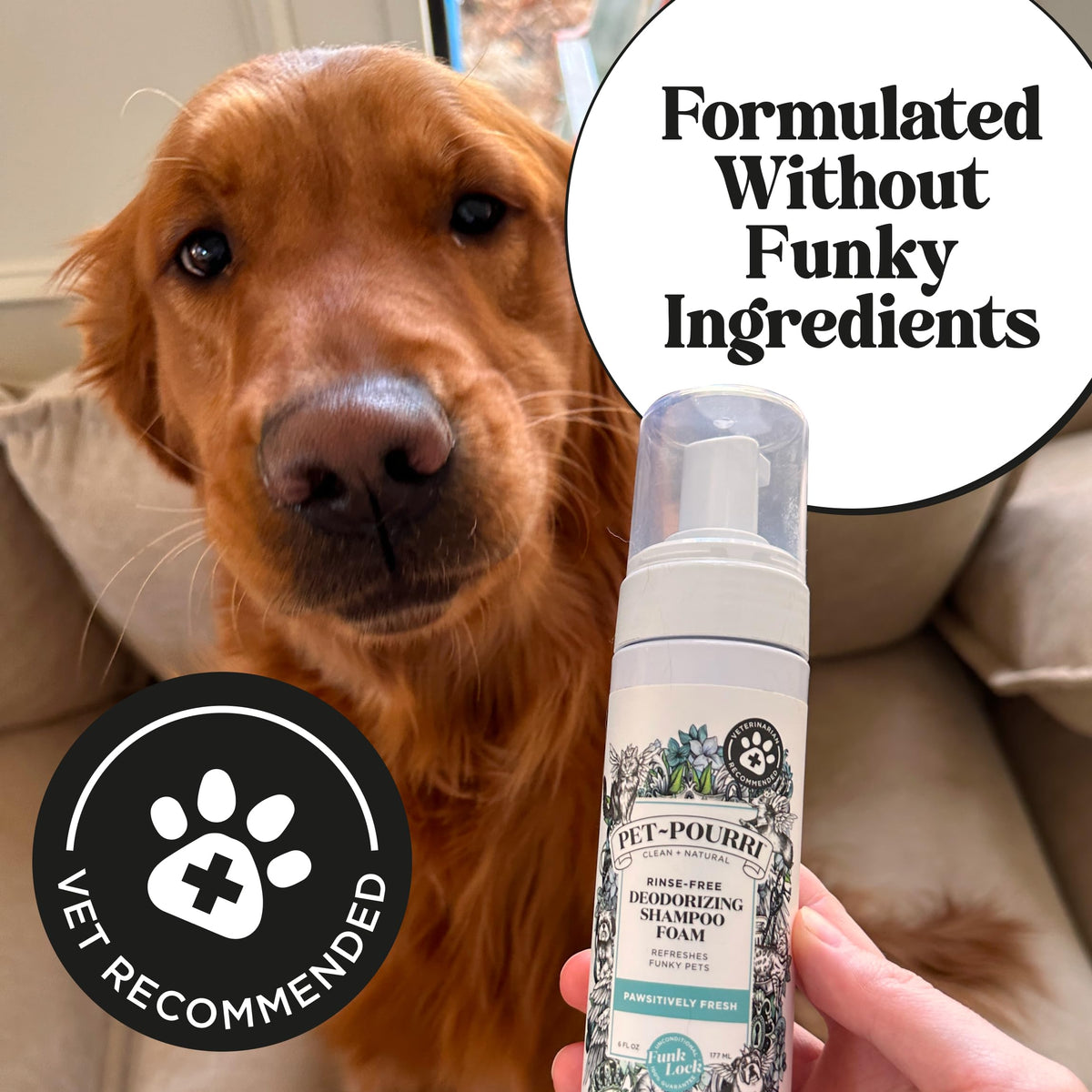 Rinse-Free Deodorizing Dry Shampoo for Dogs & Cats, 6 Fl Oz X102