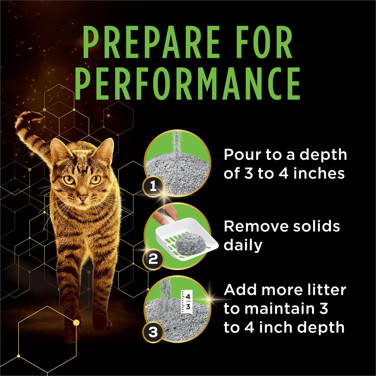 22 lb Cat Litter G256