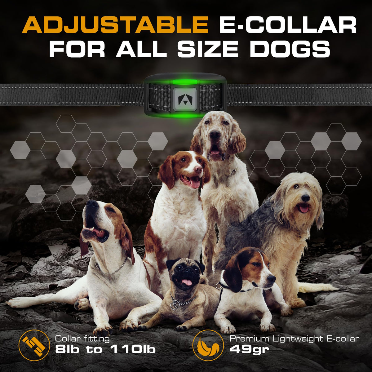 Dog Training Collar with Remote W7587