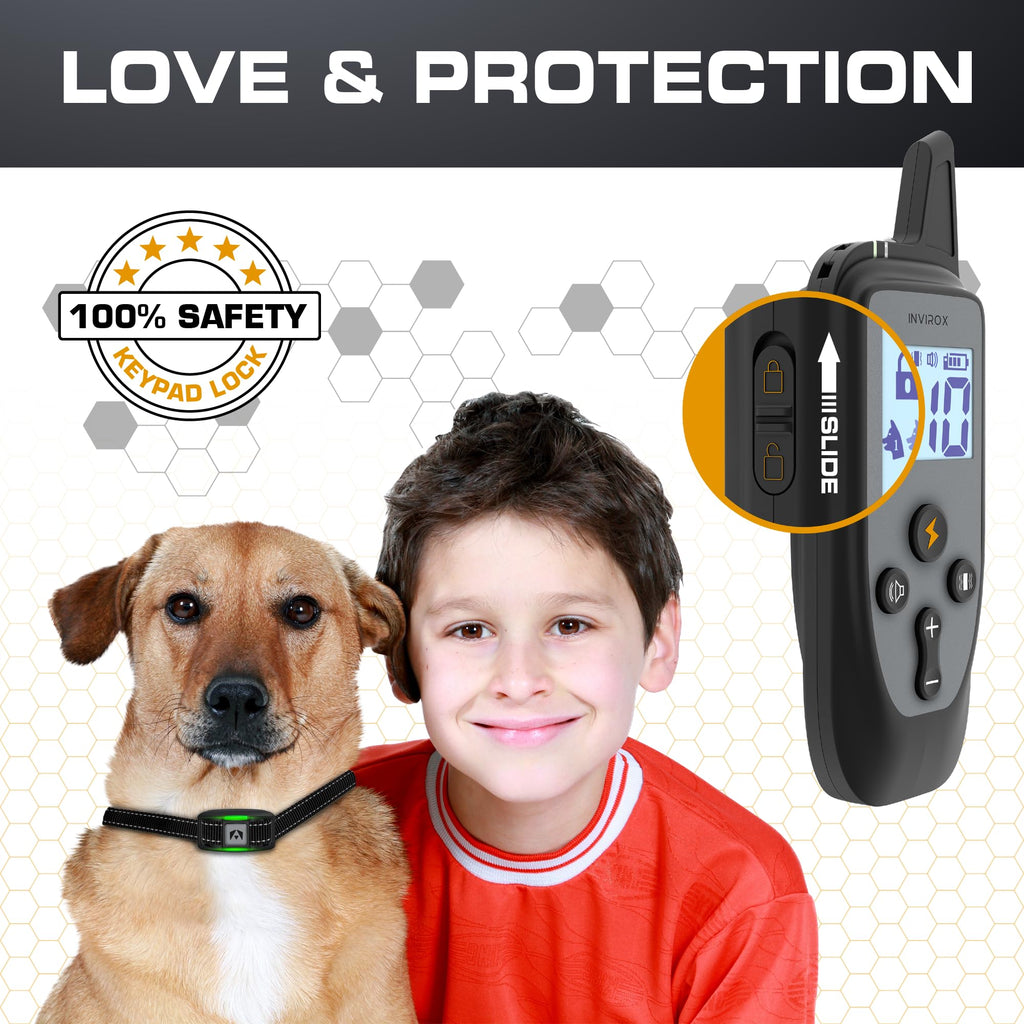 Dog Training Collar with Remote W7587