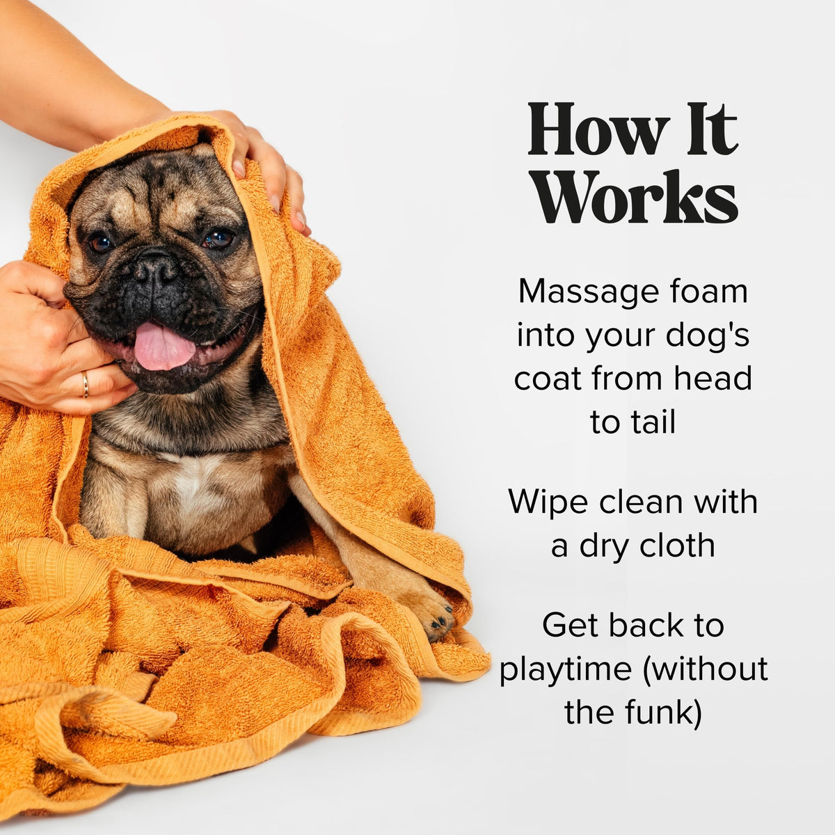 Rinse-Free Deodorizing Dry Shampoo for Dogs & Cats, 6 Fl Oz X102