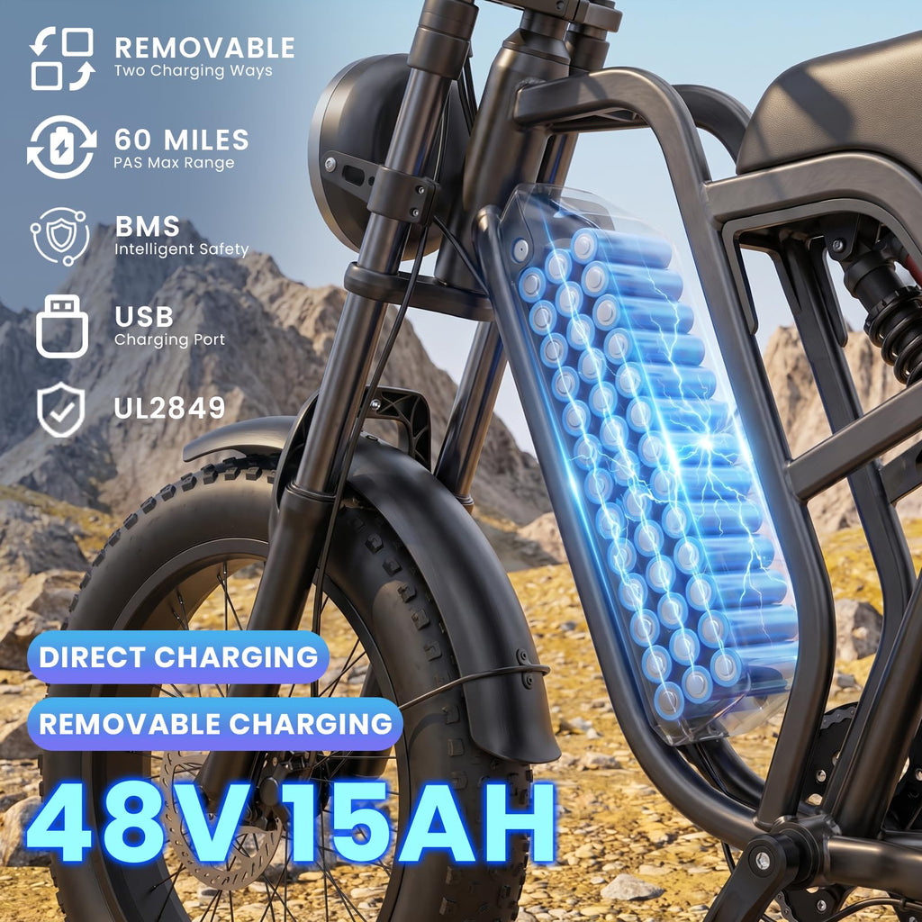 1500W Electric Bike with 48V 15Ah Removable Battery R901253