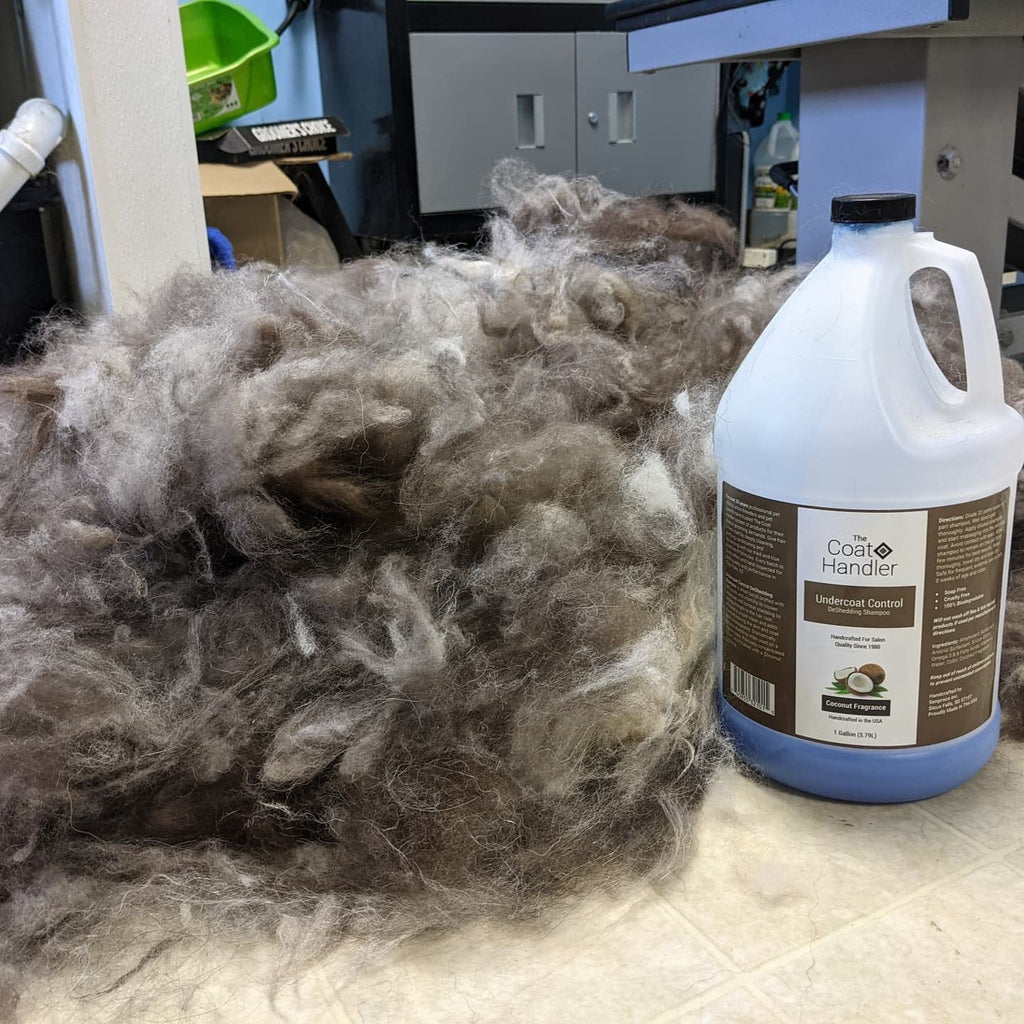 1 Gallon Deshedding Dog Shampoo V982145