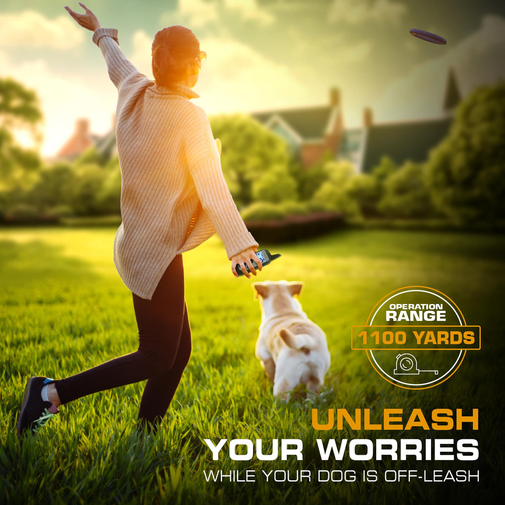 Dog Training Collar with Remote W7587