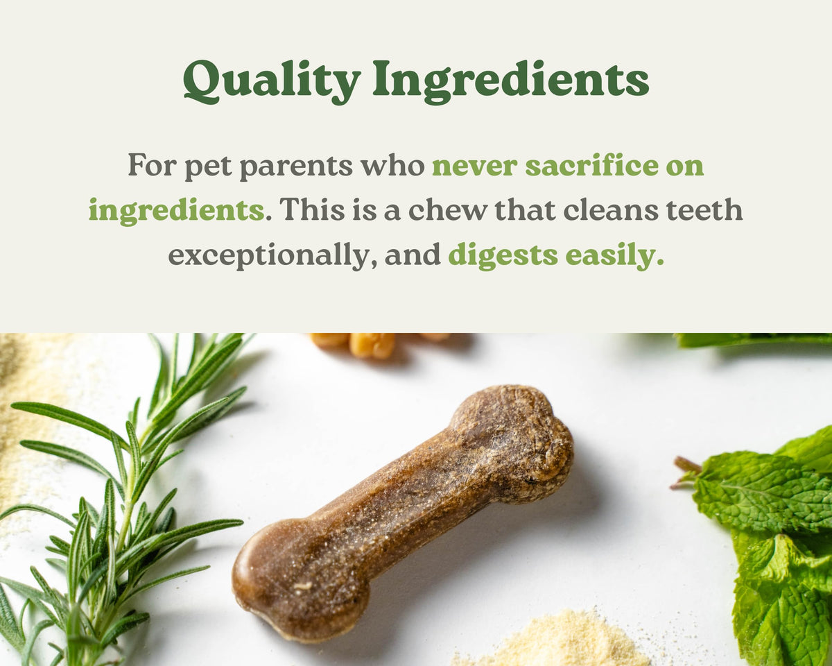 Dental Chews for Dogs 20-50lbs, 30 Bones P670