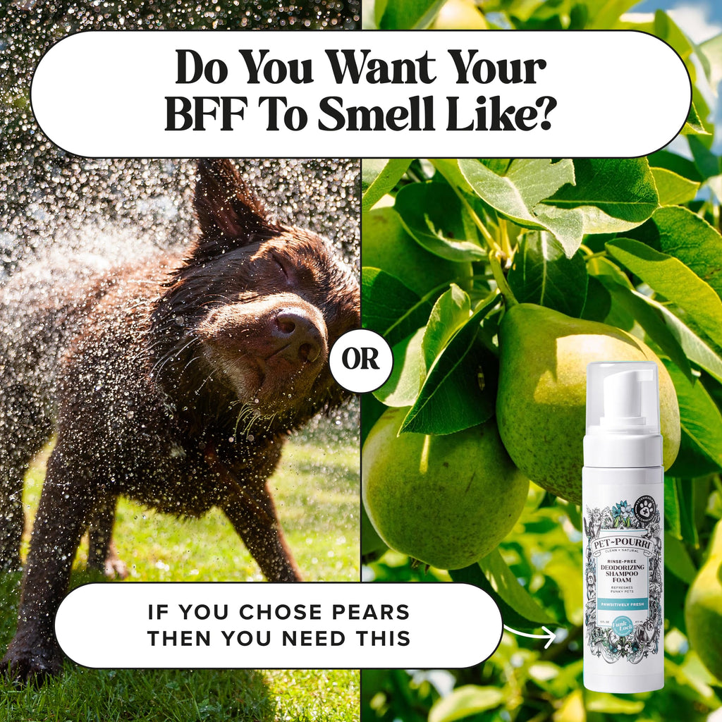 Rinse-Free Deodorizing Dry Shampoo for Dogs & Cats, 6 Fl Oz X102