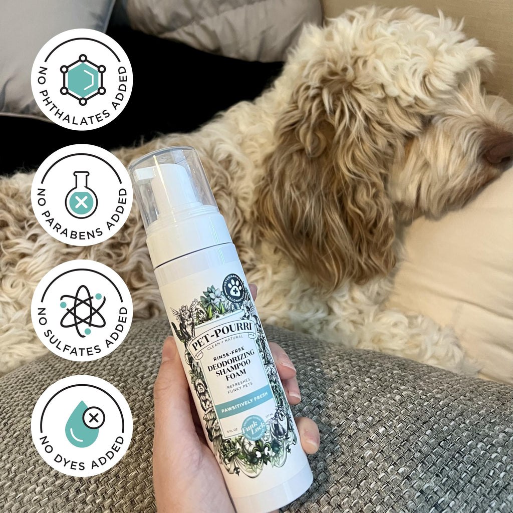 Rinse-Free Deodorizing Dry Shampoo for Dogs & Cats, 6 Fl Oz X102